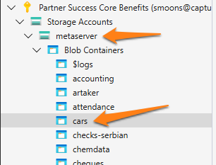 How to share a CE-CC model_Storage account_Explorer