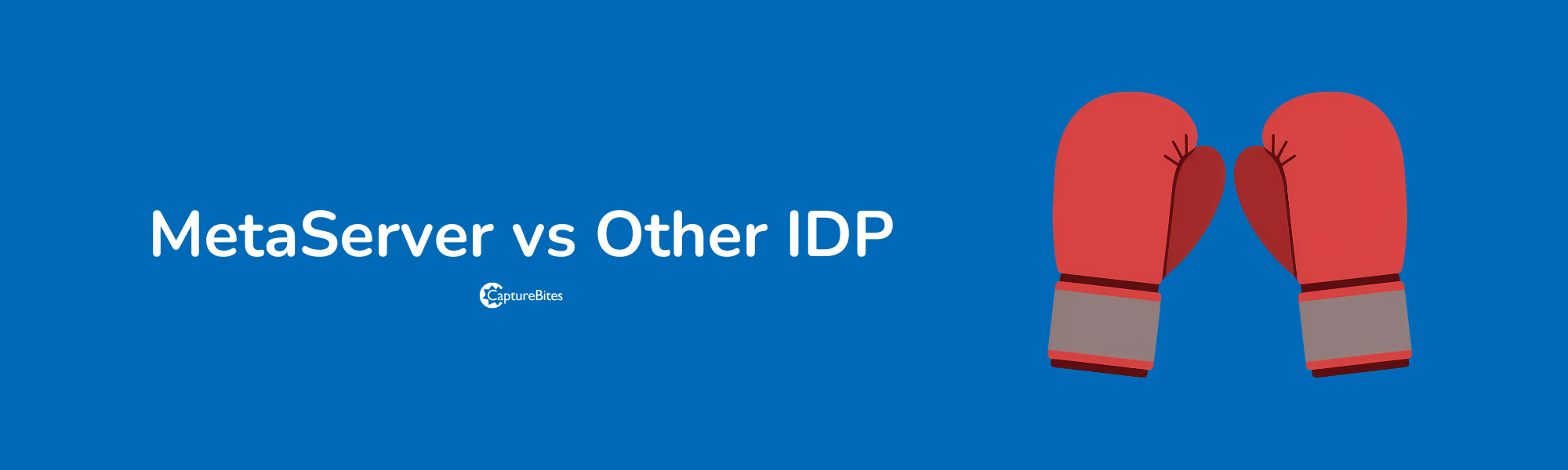 MetaServer vs other IDP solutions