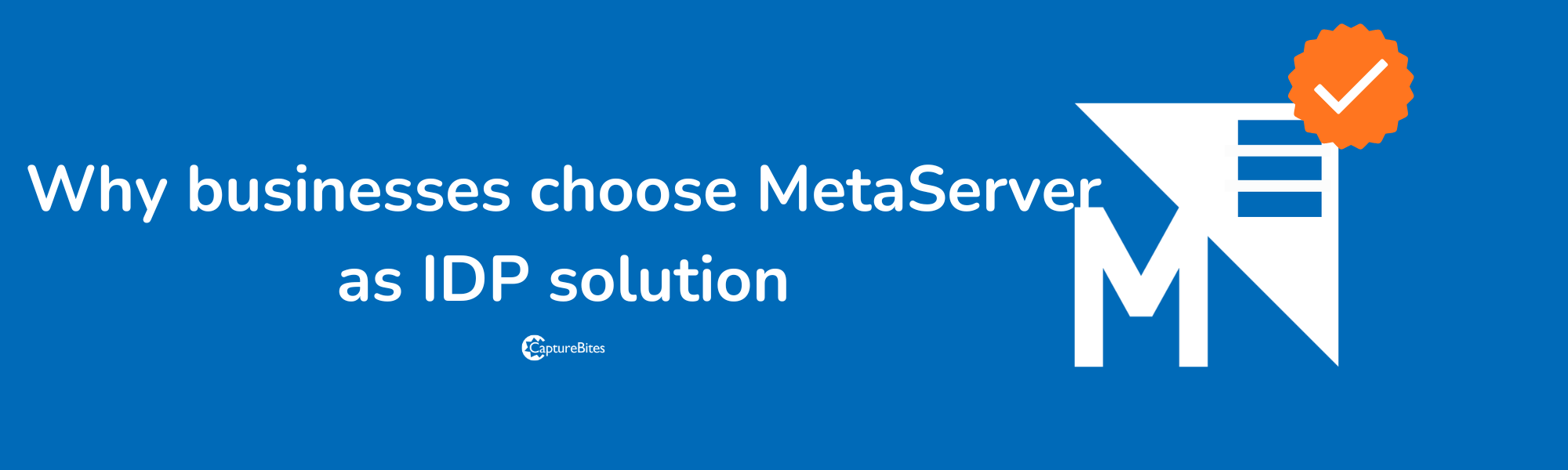 MetaServer as IDP solution