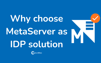 Why businesses choose MetaServer as IDP solution