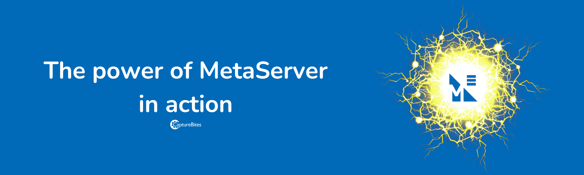 MetaServer in action