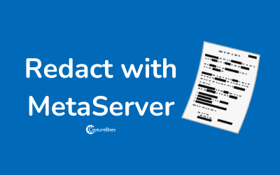 Redaction of confidential data with MetaServer