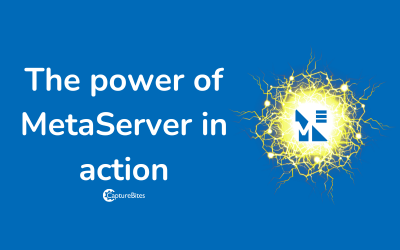 Power of MetaServer