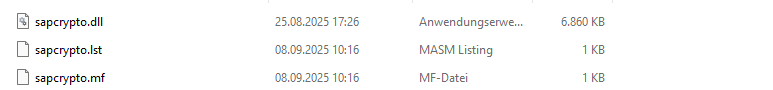 030-050_MetaServer_Export to SAP_Requirements_sapcrypto