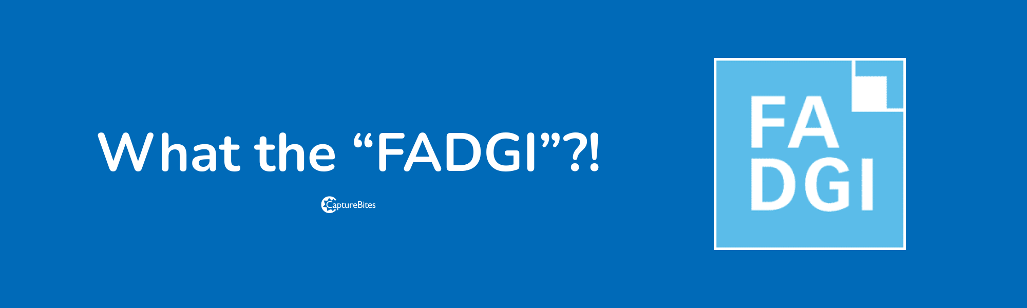 FADGI What is FADGI?