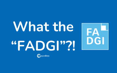 What is FADGI?